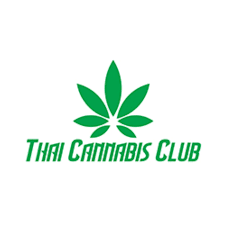 Thai website logo
